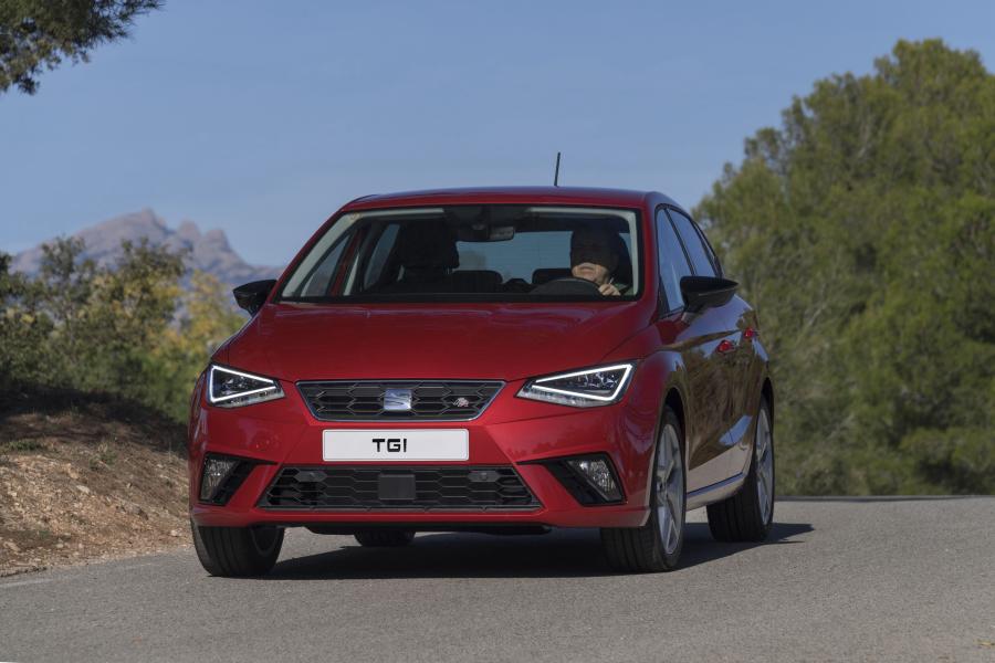  Seat Ibiza FR TGI 2017 года  (WW) (фото 5 из 34)